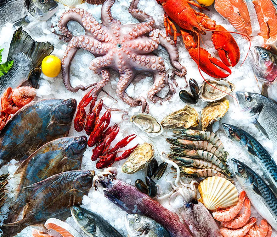 Fresh seafood on ice