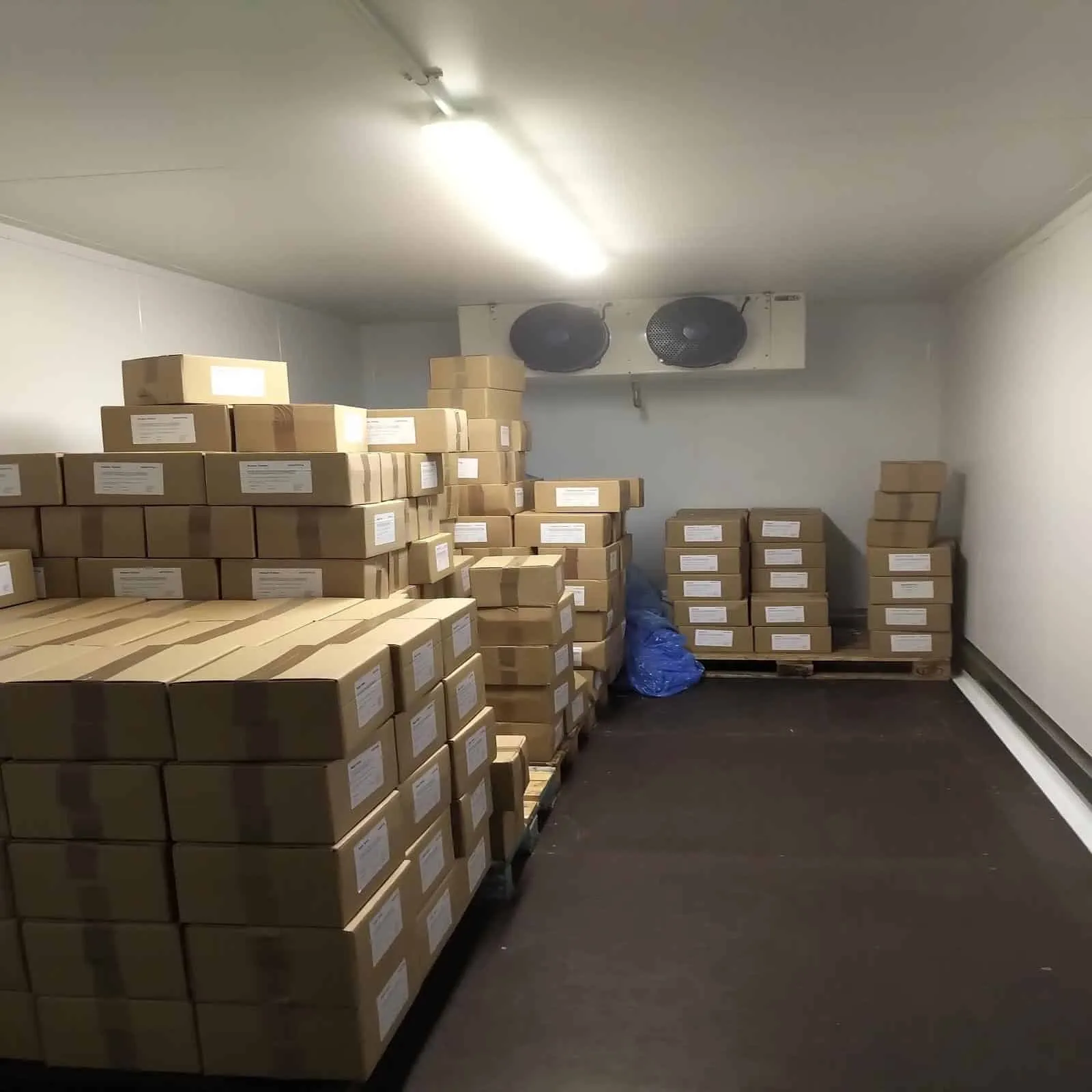 Cold store in use, stacked with boxed stock